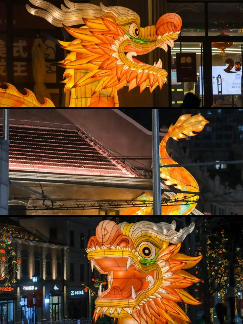 巨龙降临攻略_巨龙降临怎么解锁手机游戏_巨龙降临冒险模式