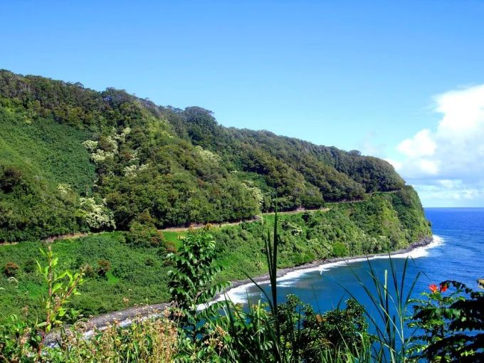 力王大岛由加利_力王四大天王之一的大岛由加利_大岛由加利