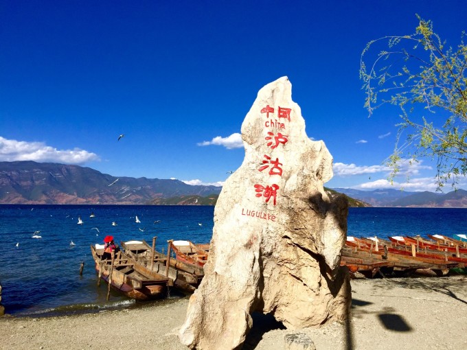 洛克岛 手机游戏-探秘洛克岛：畅游神秘世界，挑战任务，收集珍
