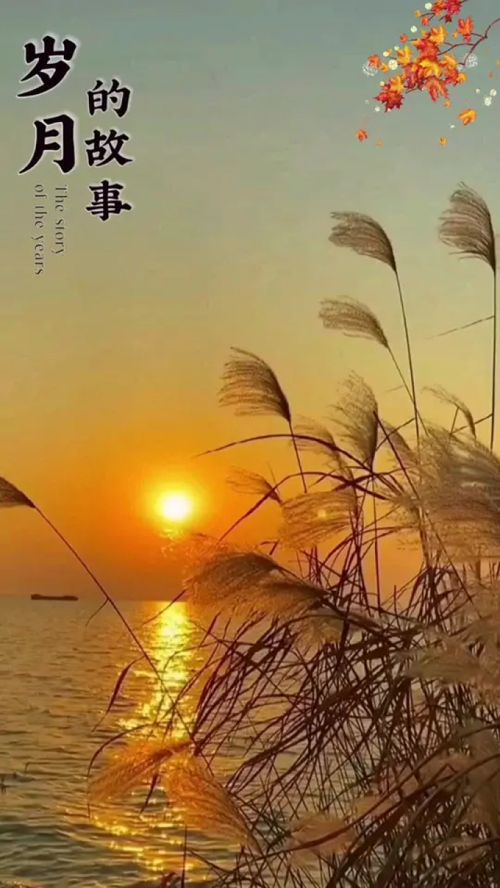 老年手机的游戏_老年手机游戏怎么找怎么弄_老年手机游戏大全集