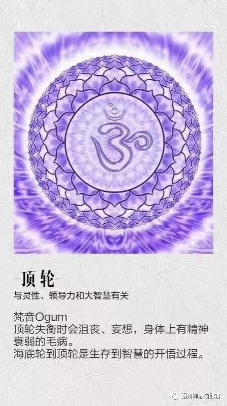 不提确是什么意思_提要意思是什么_意思意思是