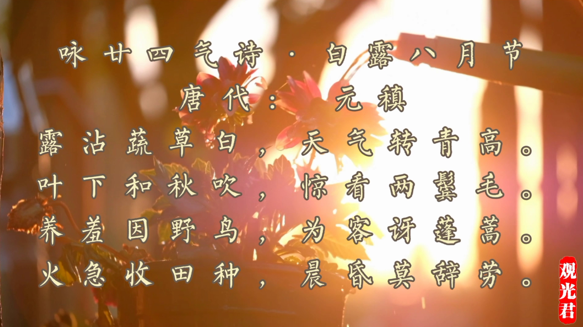 白露是几月几日_白露月出头_白露月初