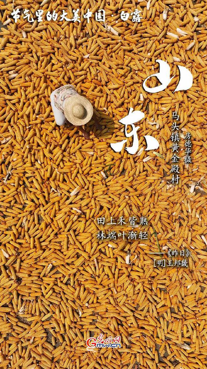 白露是几月几日_白露月初_白露月出头