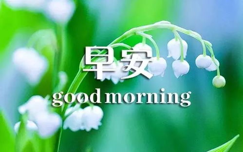 吐息_吐息_吐息