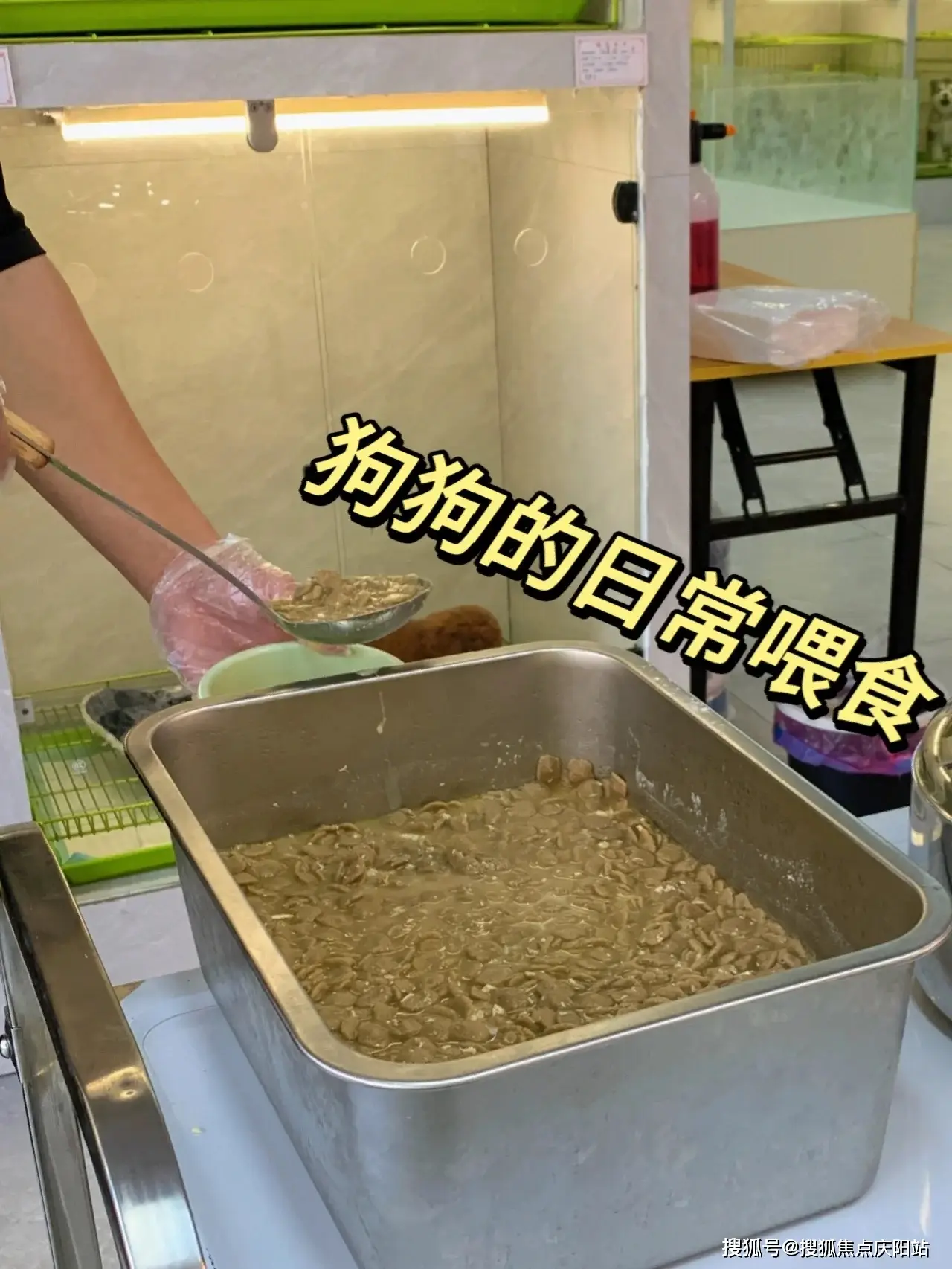 黑鲨测试模式指令_黑鲨游戏手机3测试题_黑鲨测试机什么意思