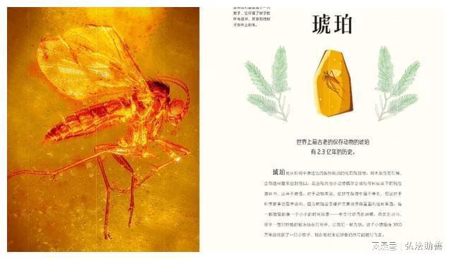 怪物主角的游戏_怪物拍照_男主拿手机拍到怪物的游戏