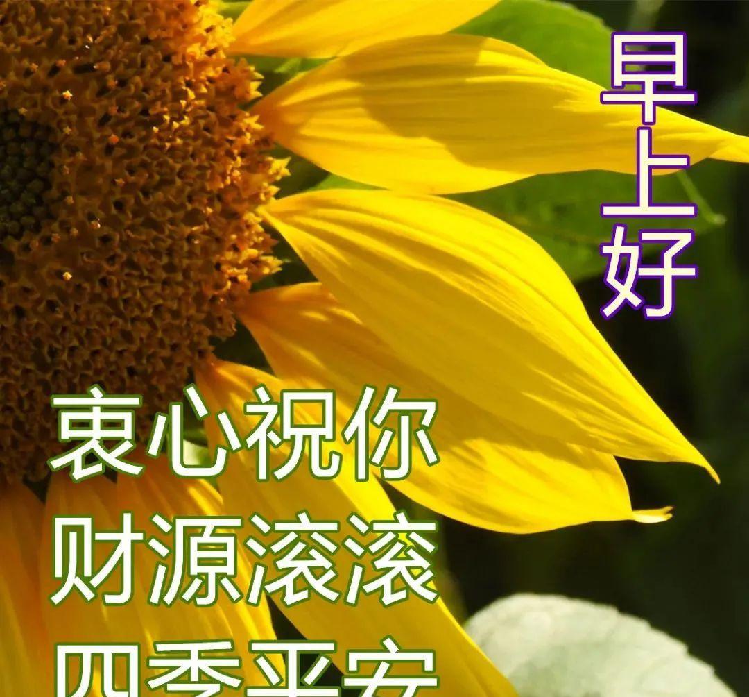 13号星期五_星期号是什么_星期号什么意思