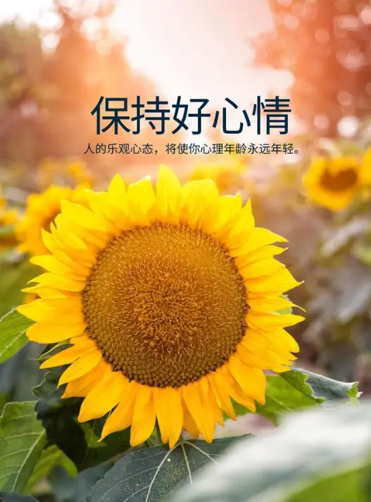 绝对演绎手机游戏_手机游戏演员_手机扮演角色游戏