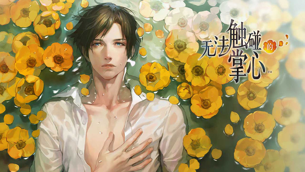 psp乙女游戏汉化_汉化18乙女手机游戏_r18的乙女游戏汉化