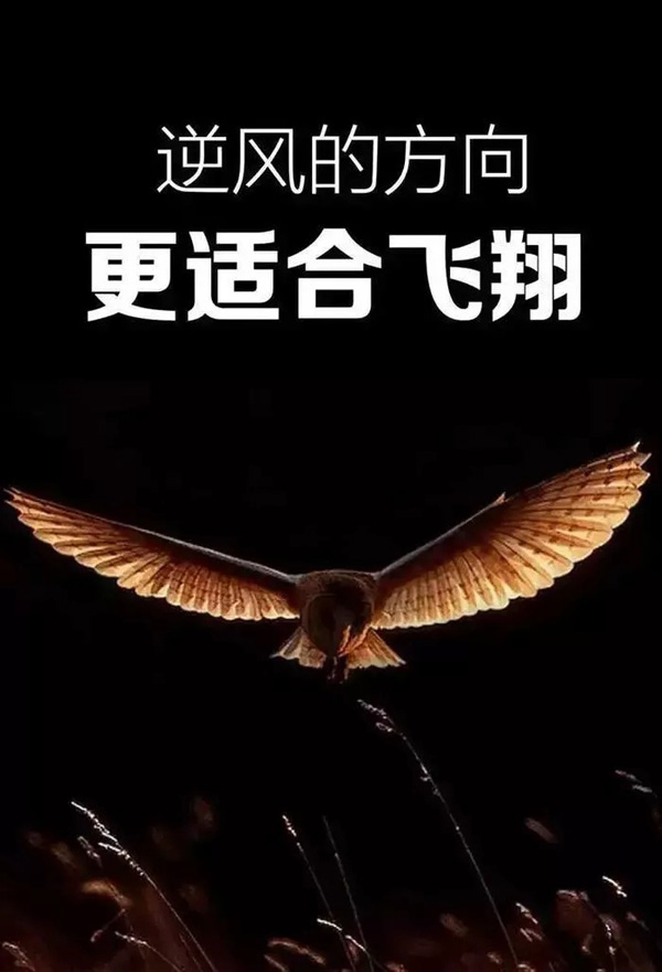 积极生活的名言名句_积极的生活吧_积极生活的图片