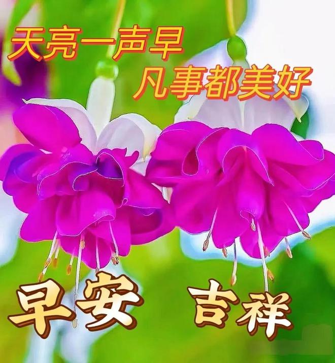 寒假合理玩手机_寒假玩什么手机小游戏_寒假玩手机的危害