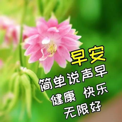 寒假合理玩手机_寒假玩手机的危害_寒假玩什么手机小游戏
