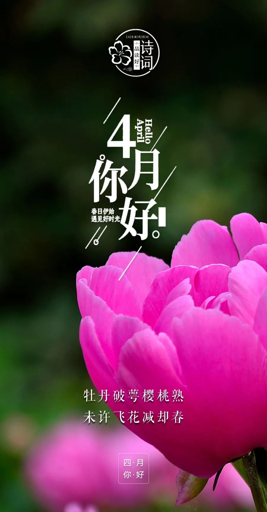 月年2023年_2010年4月29日_哪些年是闰月年