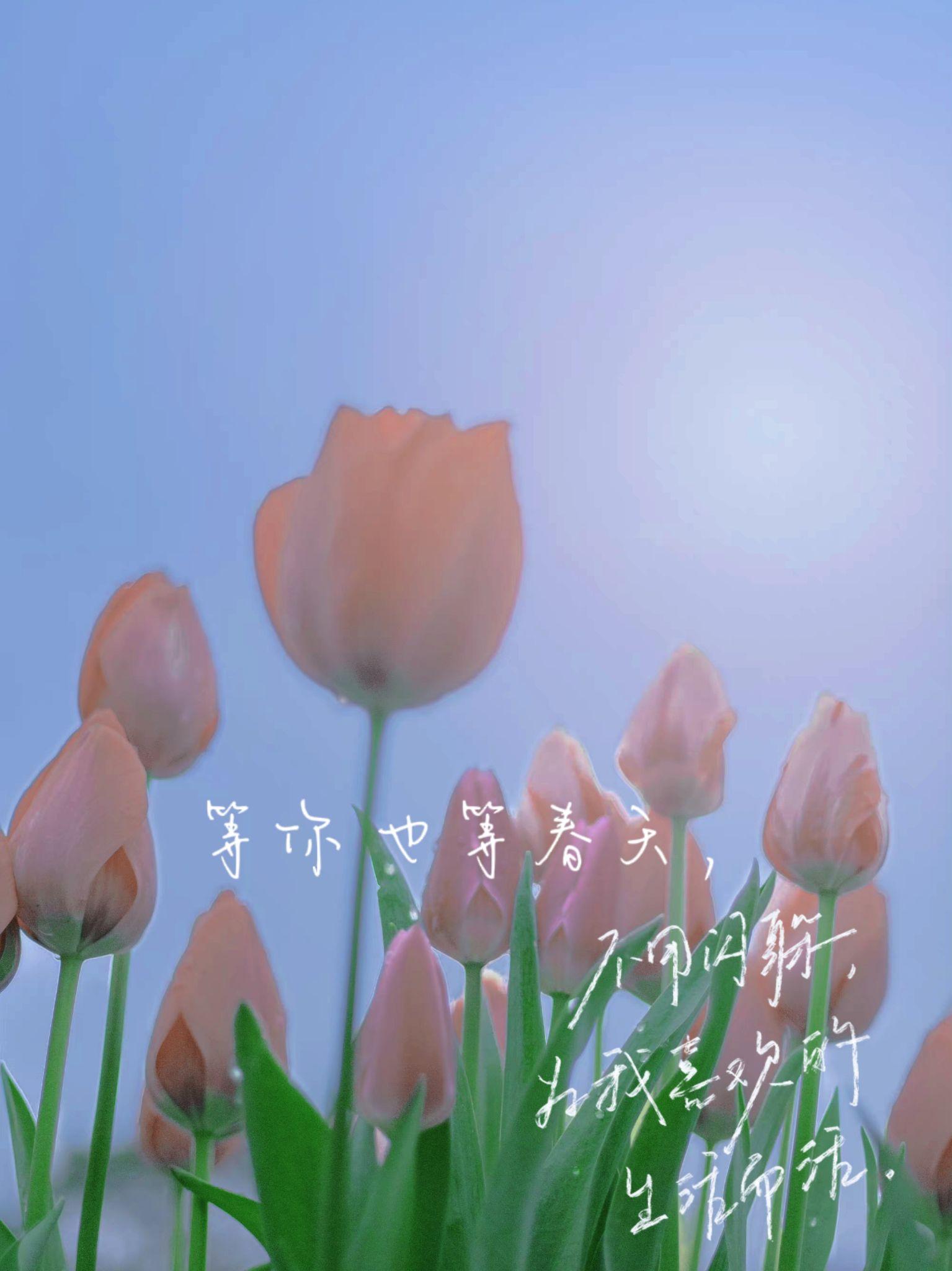 吃春_春吃芽夏吃叶秋吃果冬吃根_春吃芽