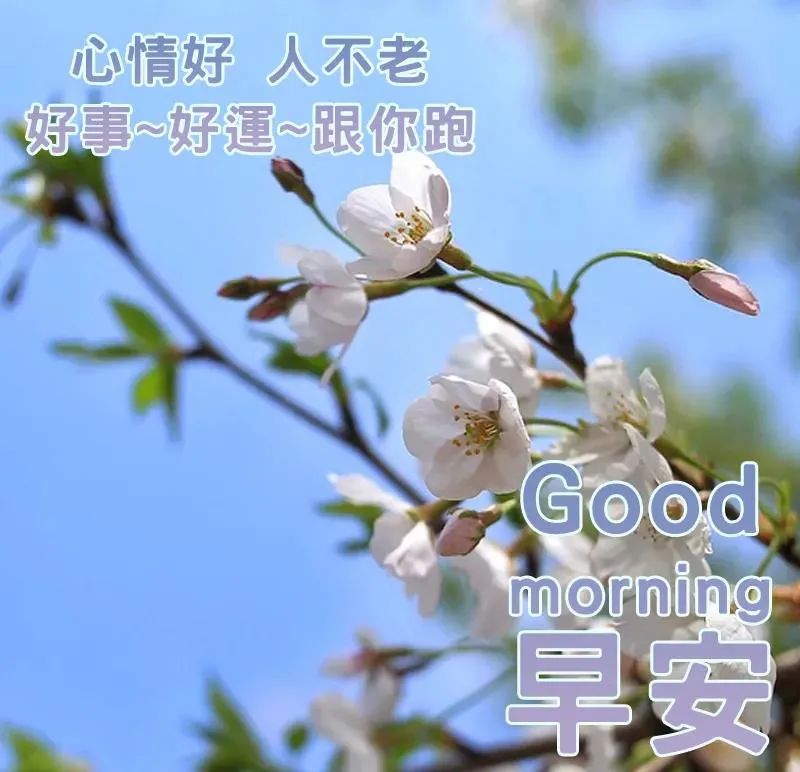 电脑字打出来是字母怎么变文字_电脑打字母怎么出现汉字_电脑中文打字打不出来字只有字母