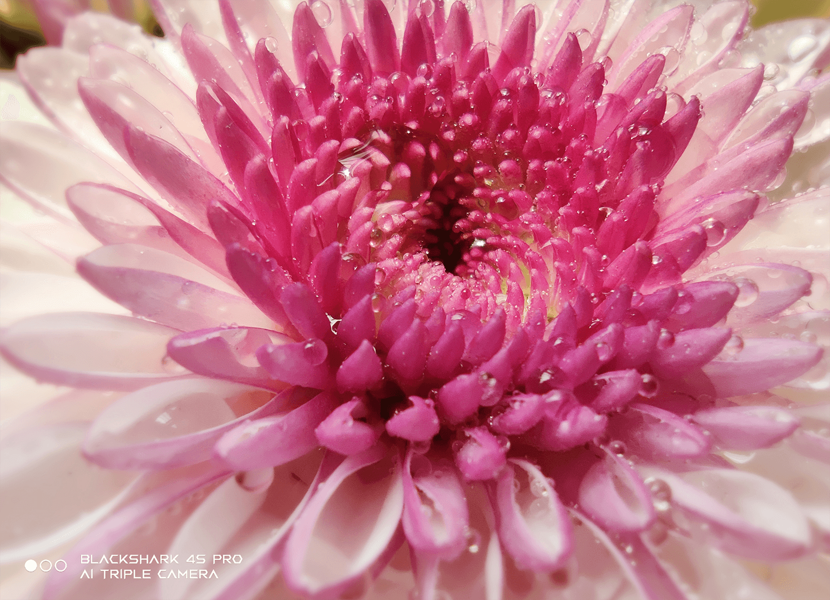 黑鲨游戏手机模式切换键_黑鲨怎么切换全面屏手势_黑鲨怎么切换形态