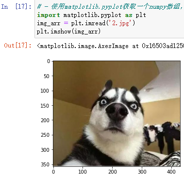 对象数组转string_数组转为对象_数组对象转json