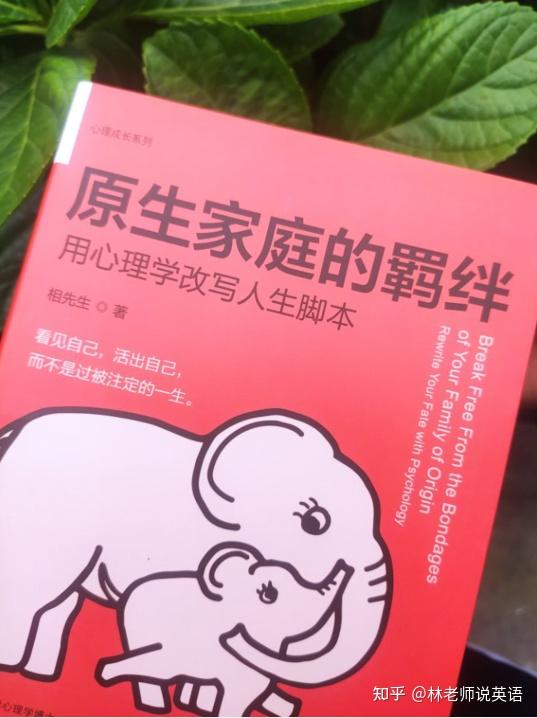 matlab转置矩阵命令符号_矩阵转置matlab_matlab转置矩阵命令