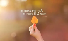 有哲理手机游戏-手机游戏：消遣之外的生活哲理，解谜与经营的智