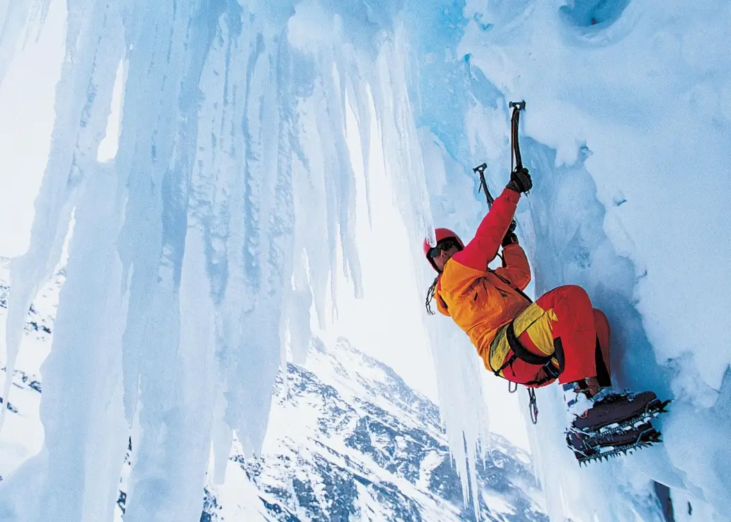 不死者冒险_冒险者_吸血鬼幸存者冒险