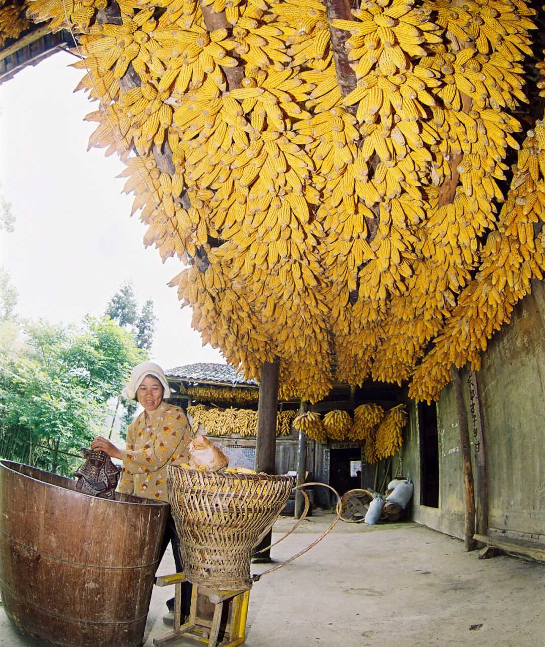 熊野神社_熊野古道_熊野