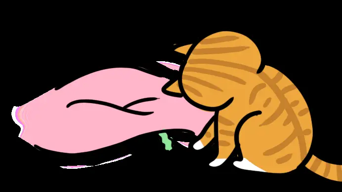 猫牌游戏规则_猫咪牌手机游戏_猫咪牌的玩法