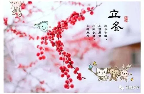 冬至区别立冬有什么特点_立冬和冬至有什么区别_冬至立冬区别
