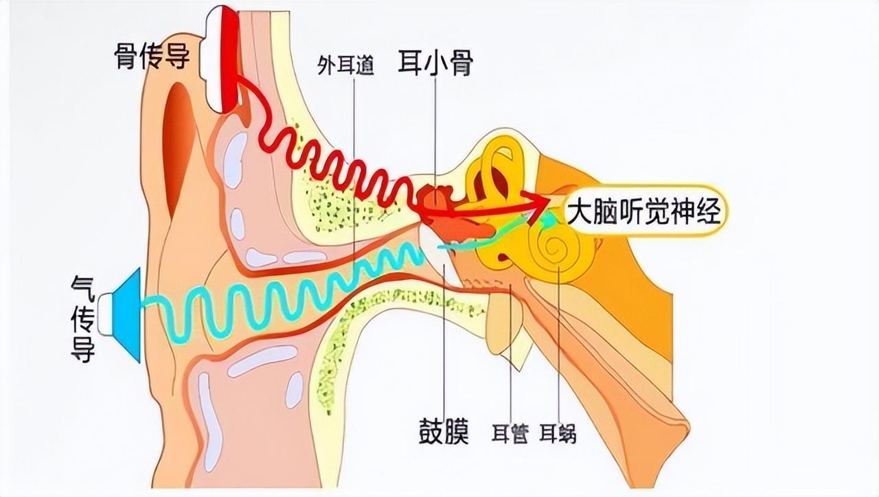 空气传导和骨传导耳机哪个好_骨传导耳机风噪_骨传导耳机和空气传导耳机