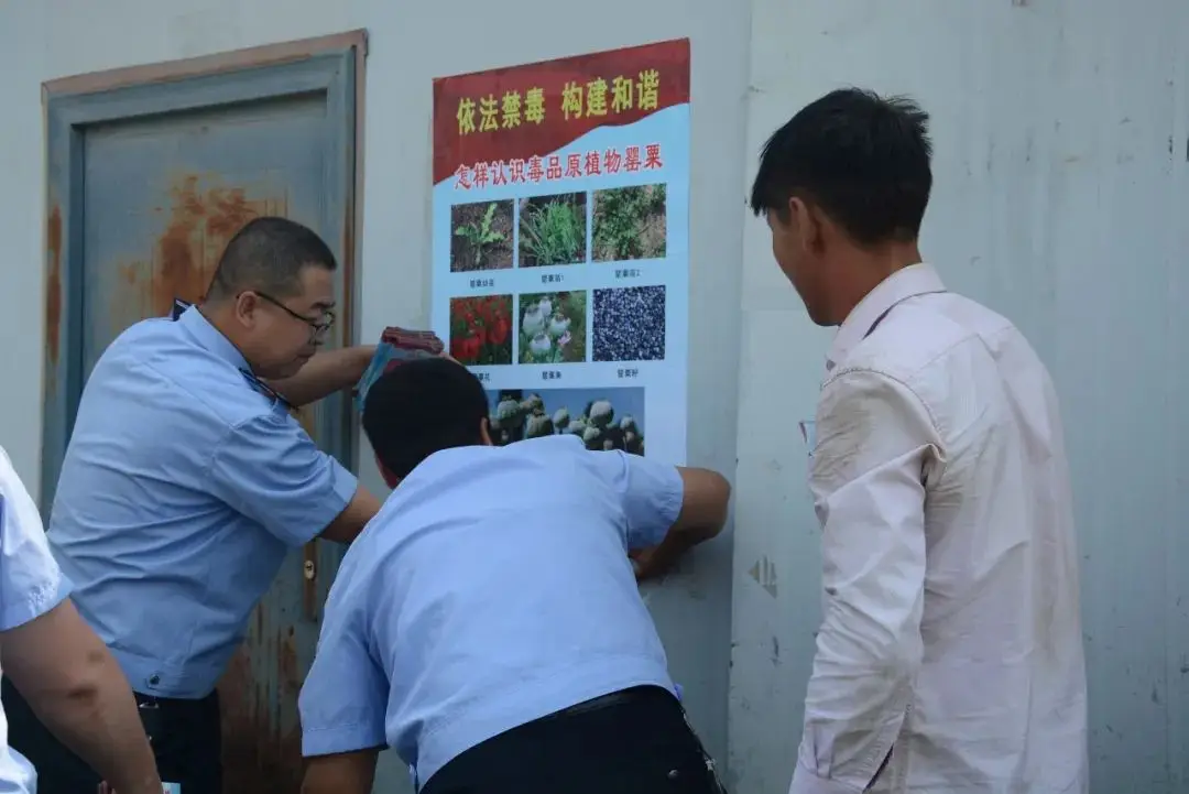 禁毒版手机游戏推荐_禁毒游戏大全_禁毒游戏手机版