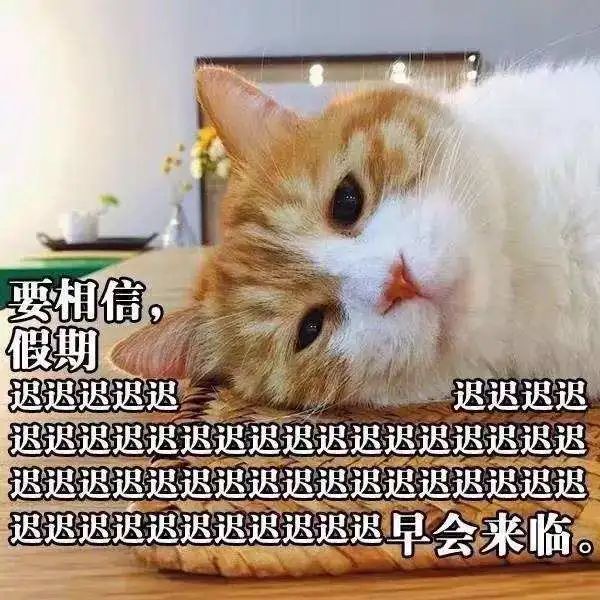 五一实际放假几天_五一实际放假天数怎么算_五一实际放假天数是多少