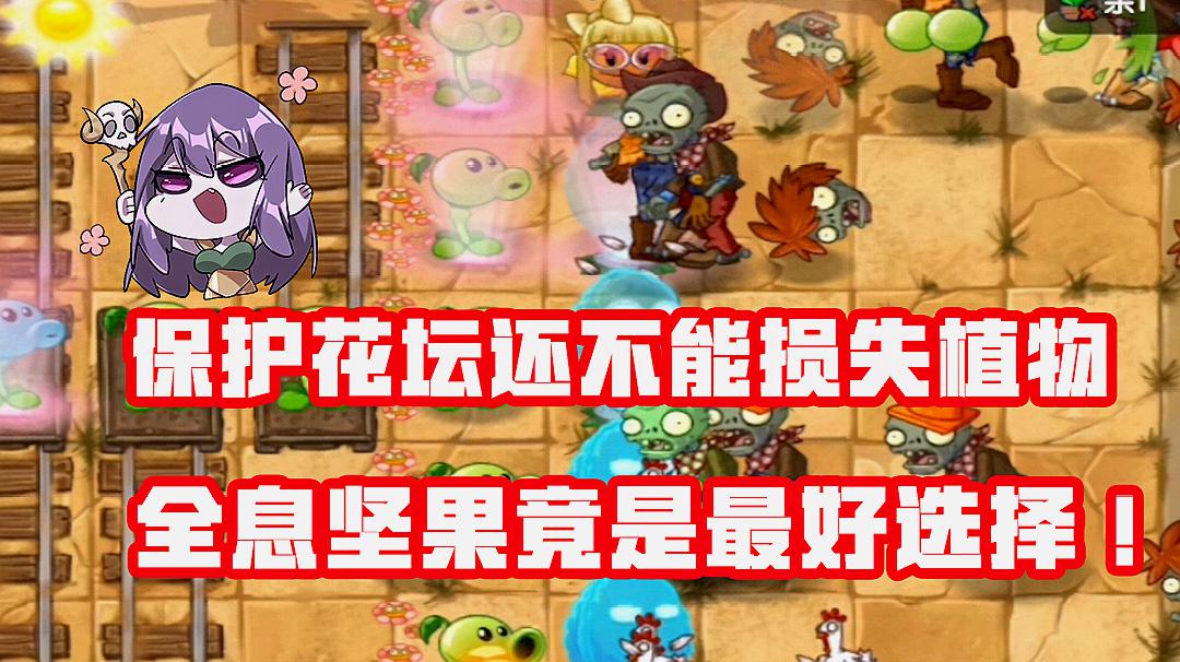 游戏坚果是手机游戏吗_坚果是不是游戏手机游戏_坚果手游平台正规吗