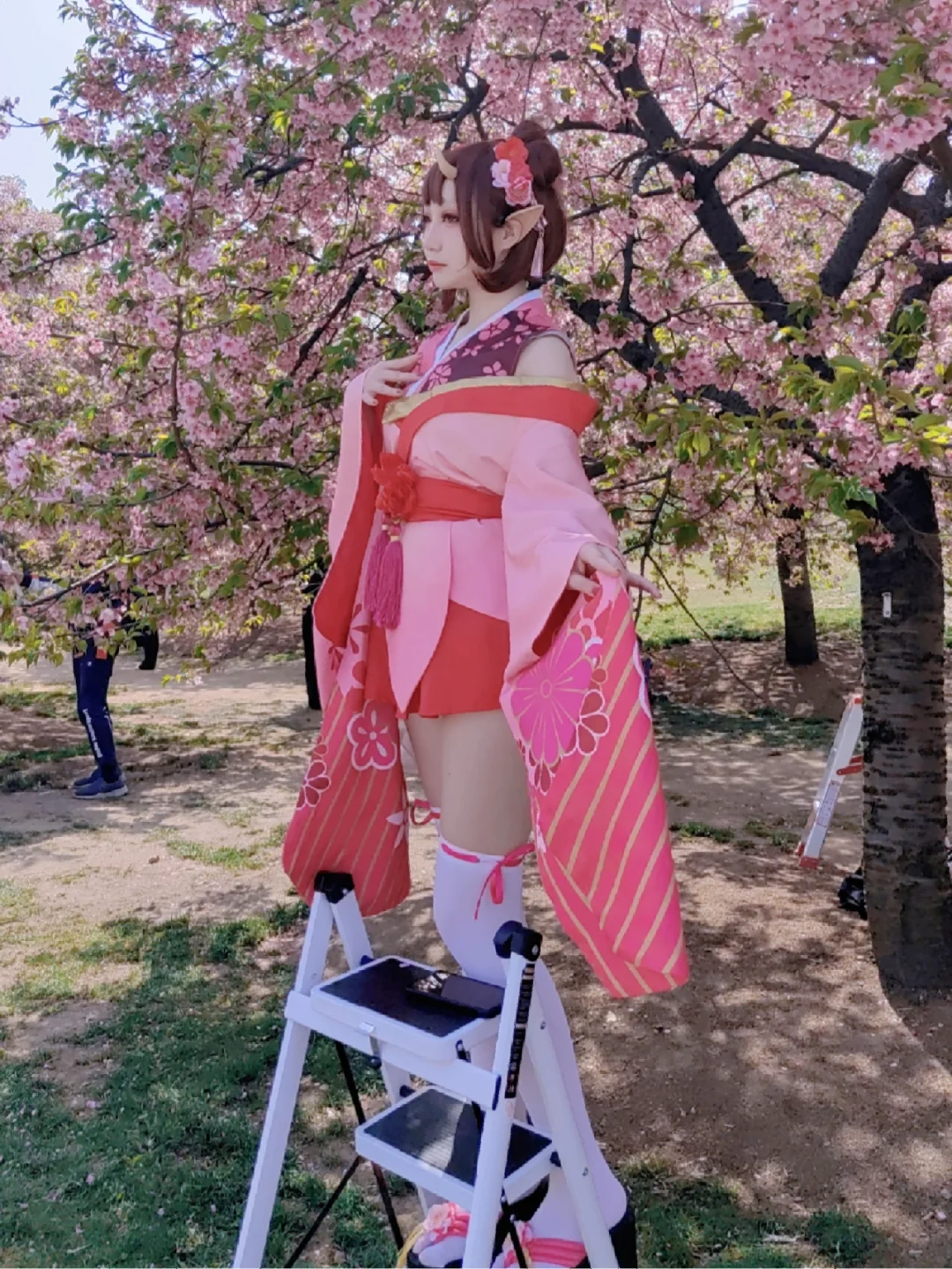 樱花妖的夫君是谁_樱花妖_樱花妖御魂