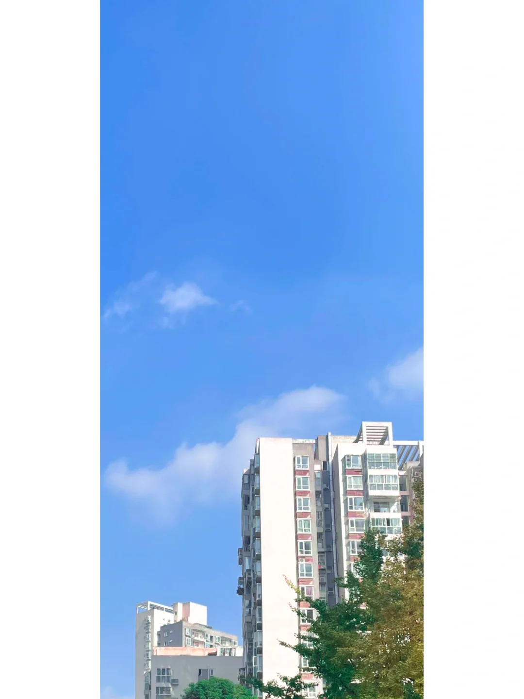 ai网格工具上色是灰色_ai实时上色渐变方向_ai怎么上色