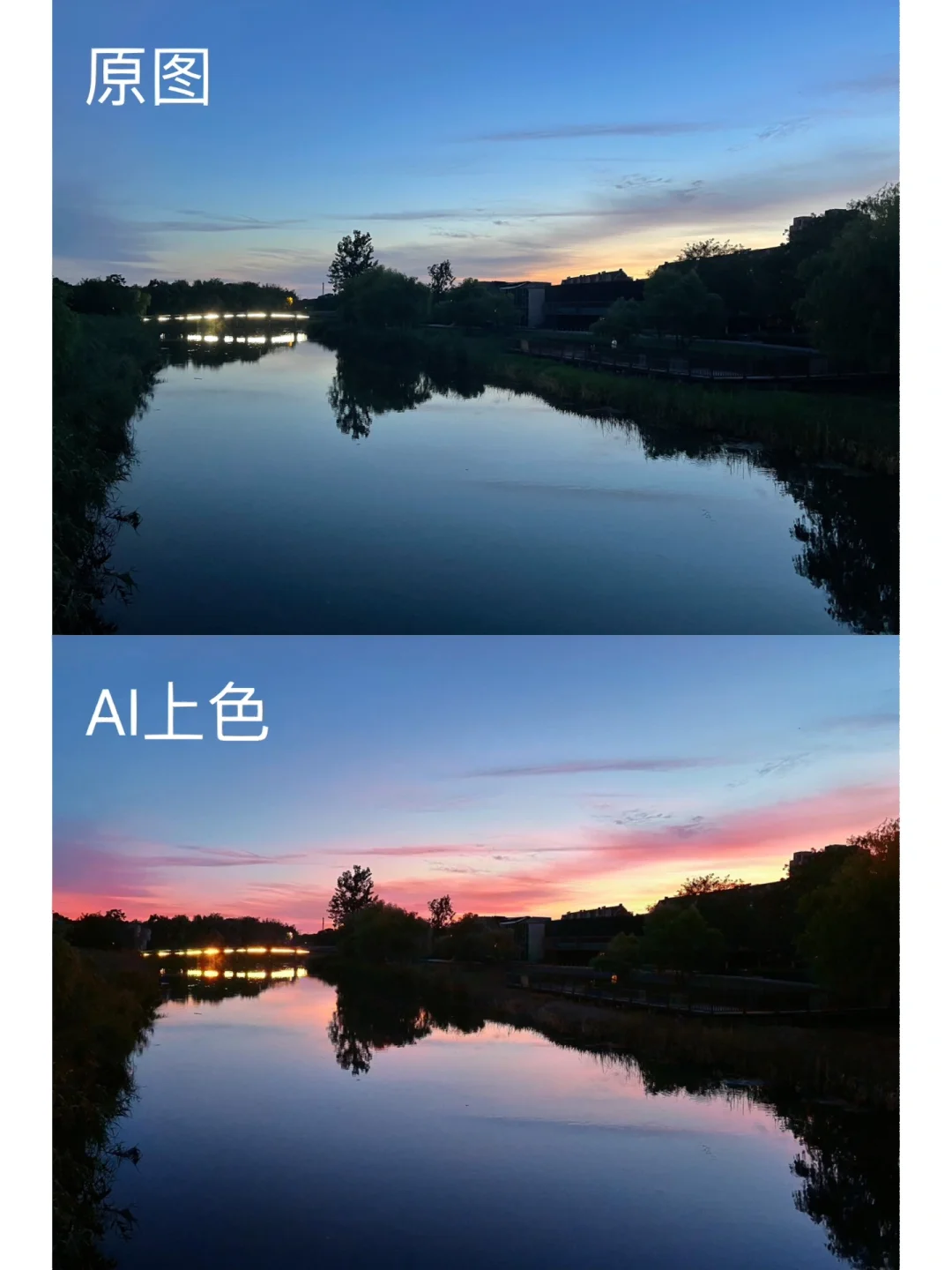 ai怎么上色_ai实时上色渐变方向_ai网格工具上色是灰色