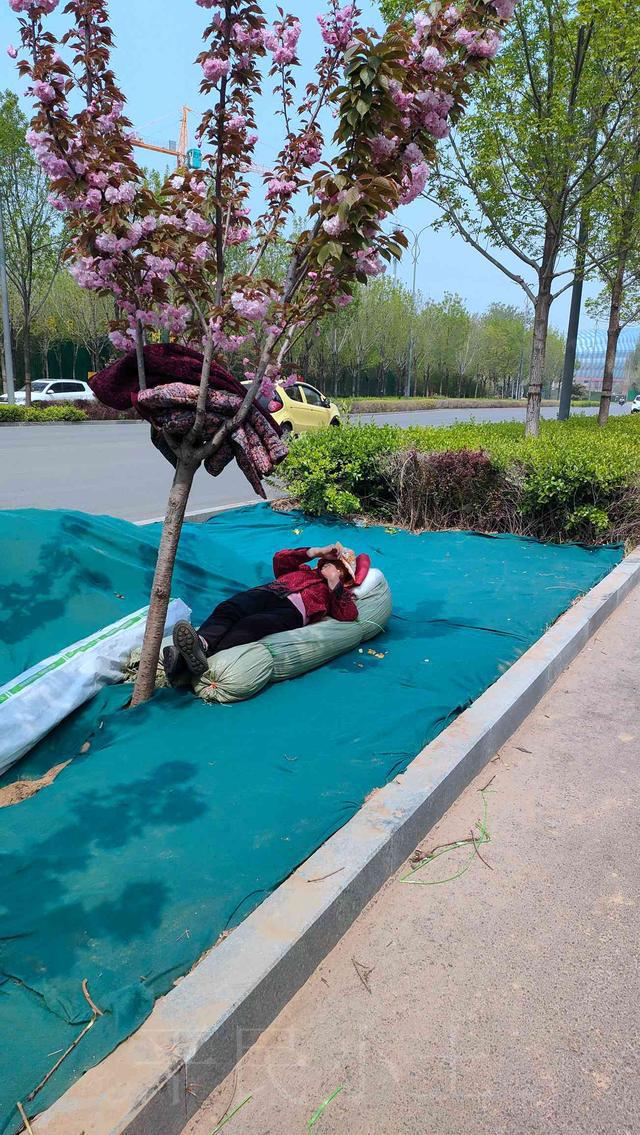 农民工图片大全大图微信_农民工照片_农民工玩手机游戏图片