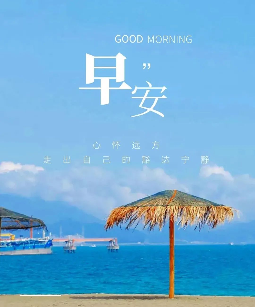 月饼_月亮_5月14