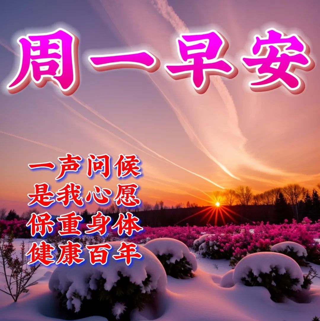 星期一的丰满_星期一的丰满是什么_星期一的丰满无修版