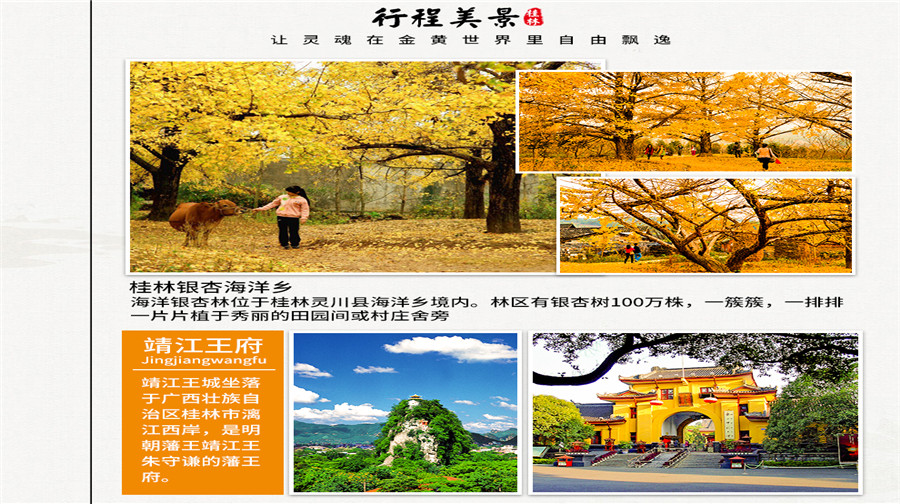 广西视听频道_广西视听电视版_广西视听app观看直播