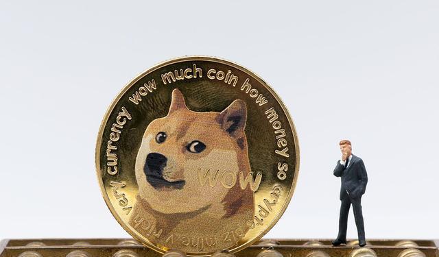 狗狗币市场行情_狗狗币行情最新行情_狗狗币今日行情