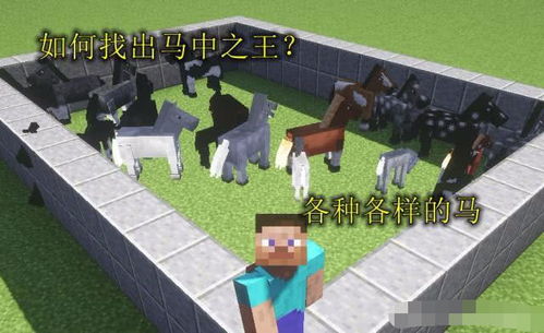 驯服大恐龙 