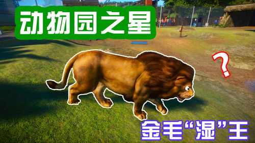 游戏名动物,游戏中的奇妙生物之旅