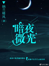 长夜微光 