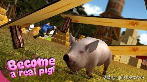 点猪仔游戏,轻松休闲的模拟养成体验