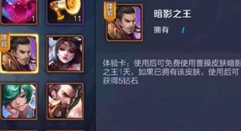 游戏不换皮,揭秘不换皮游戏的独特魅力