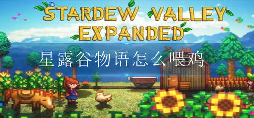 星露谷物语 