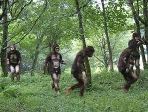 救救小野人 