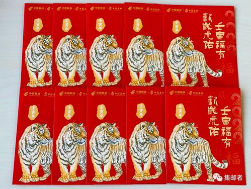 晓晓影视免费看电视 