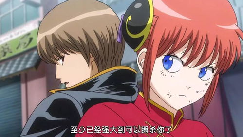 银魂歌舞伎町大活剧 