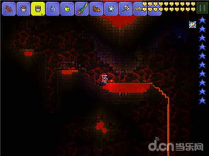 泰拉瑞亚存档编辑器 